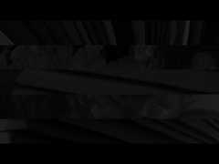 우리 에 관한 정보